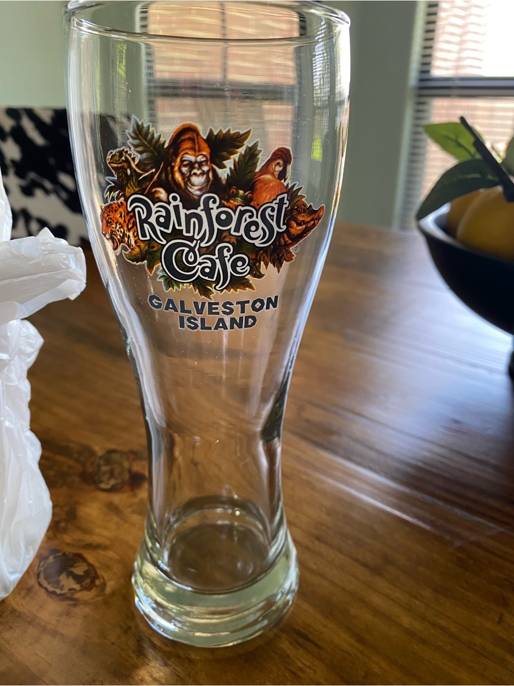 Rainforest Cafe Galveston Island Pilsner Glass 2 - Multicolor Logo